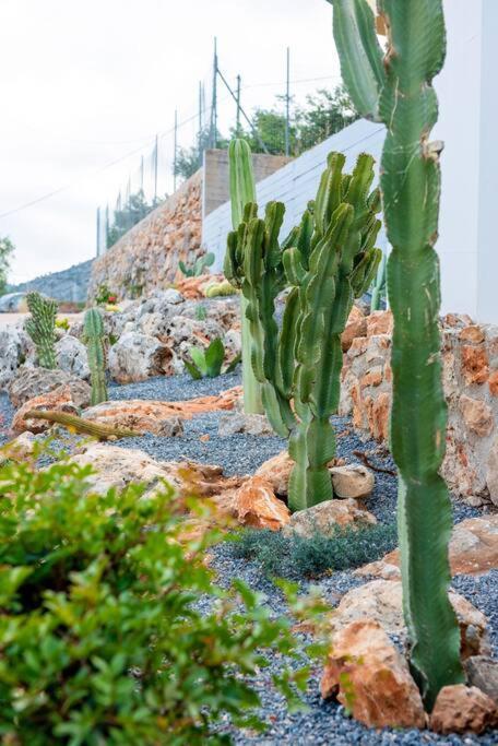 Agro Nostro-Agave With Superb View Villa Agios Nikolaos Esterno foto