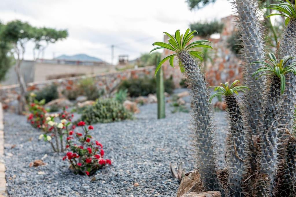 Agro Nostro-Agave With Superb View Villa Agios Nikolaos Esterno foto